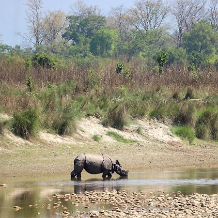 Forest Hideaway Resort Pvt Ltd Bardiya Exteriér fotografie