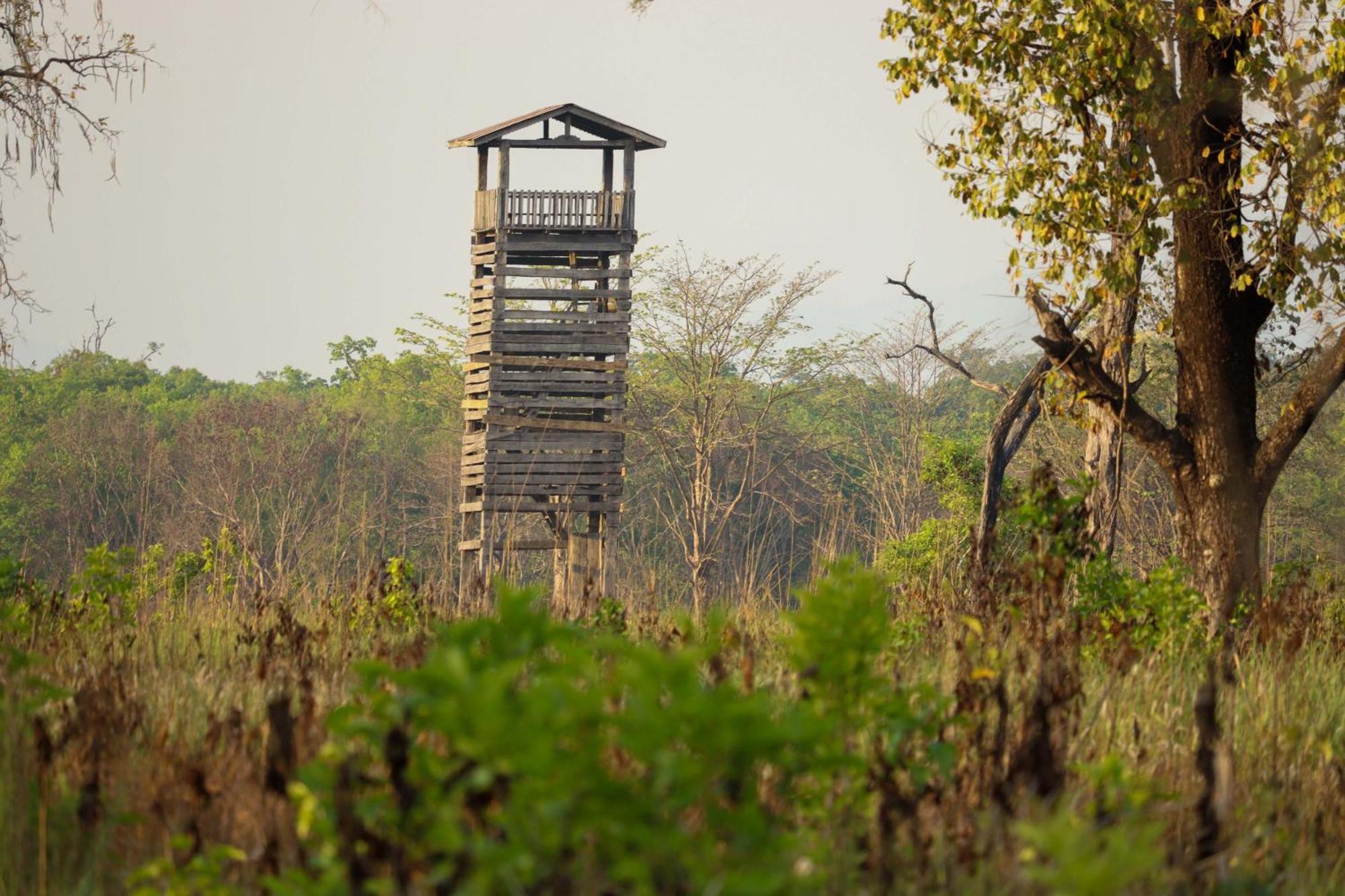 Forest Hideaway Resort Pvt Ltd Bardiya Exteriér fotografie