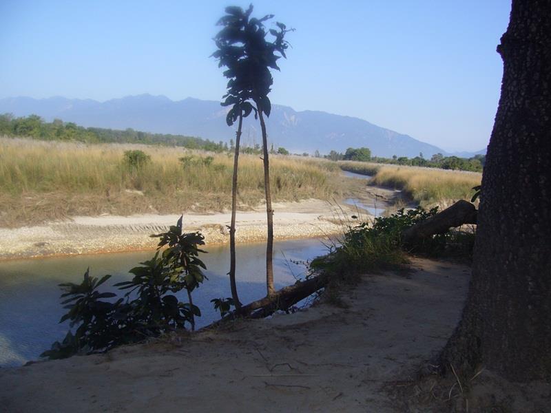 Forest Hideaway Resort Pvt Ltd Bardiya Exteriér fotografie