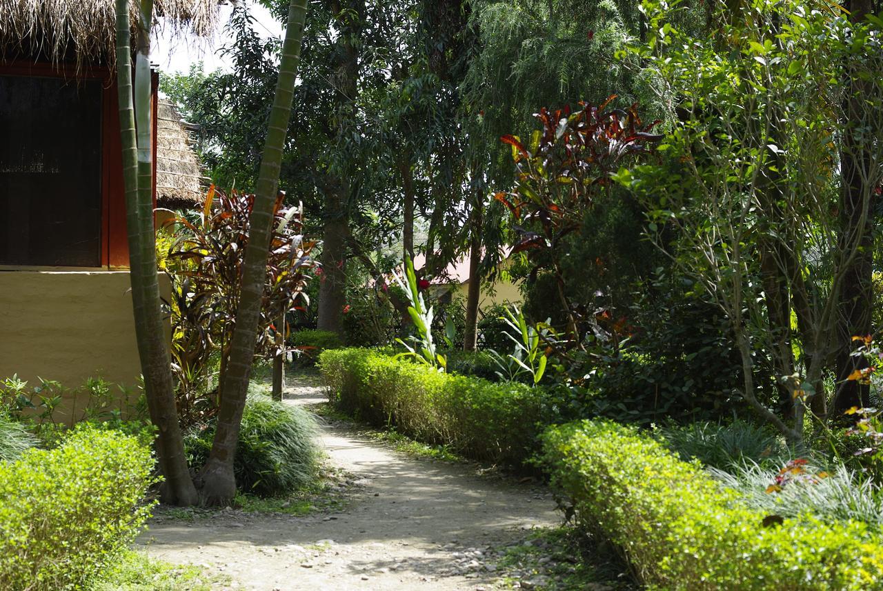 Forest Hideaway Resort Pvt Ltd Bardiya Exteriér fotografie