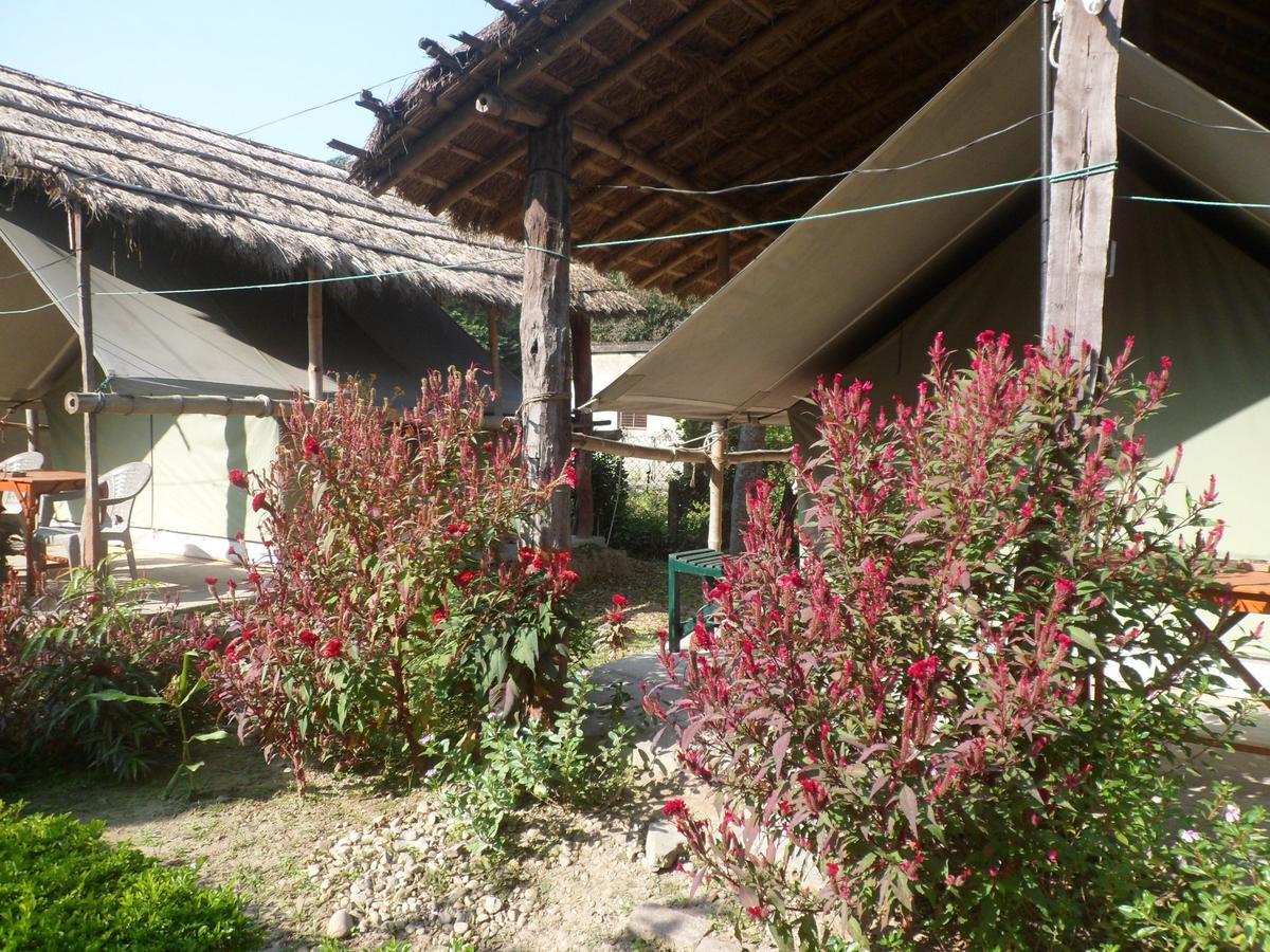 Forest Hideaway Resort Pvt Ltd Bardiya Exteriér fotografie
